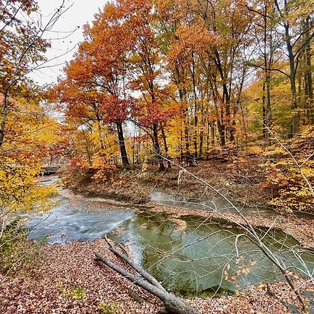 Log Cabin - Natures Oasis - Fire Pit & Gazebo Cleveland Esterno foto