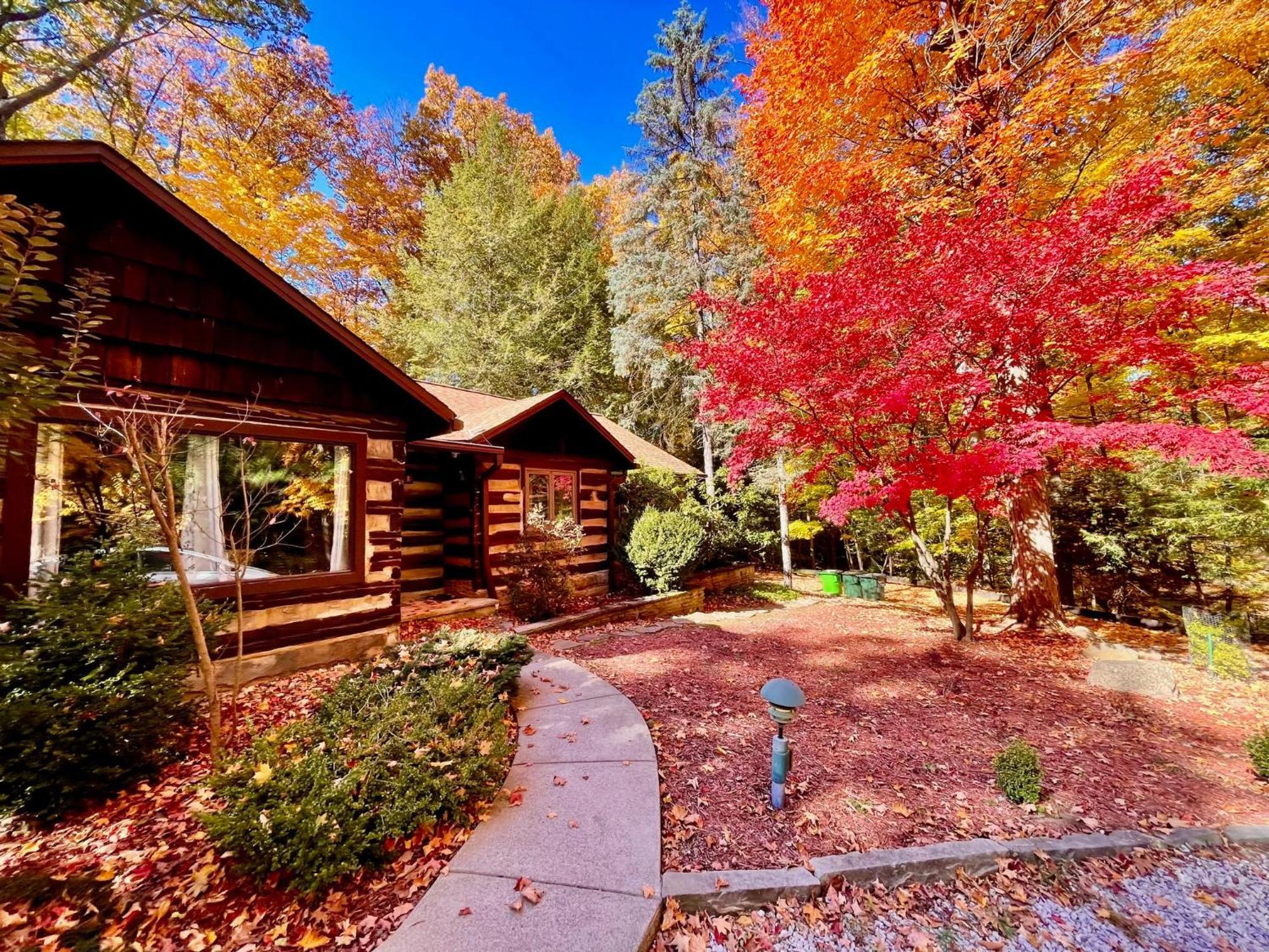 Log Cabin - Natures Oasis - Fire Pit & Gazebo Cleveland Esterno foto