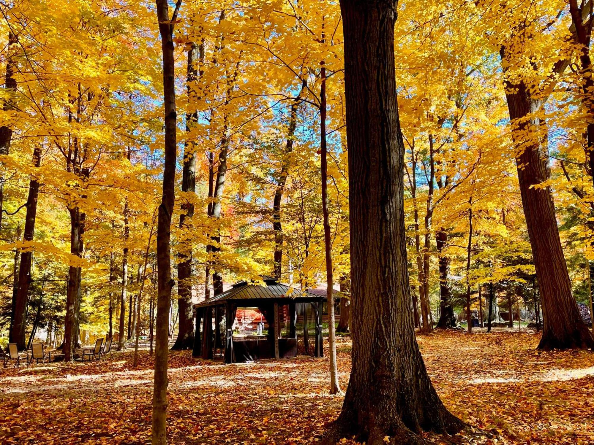 Log Cabin - Natures Oasis - Fire Pit & Gazebo Cleveland Esterno foto