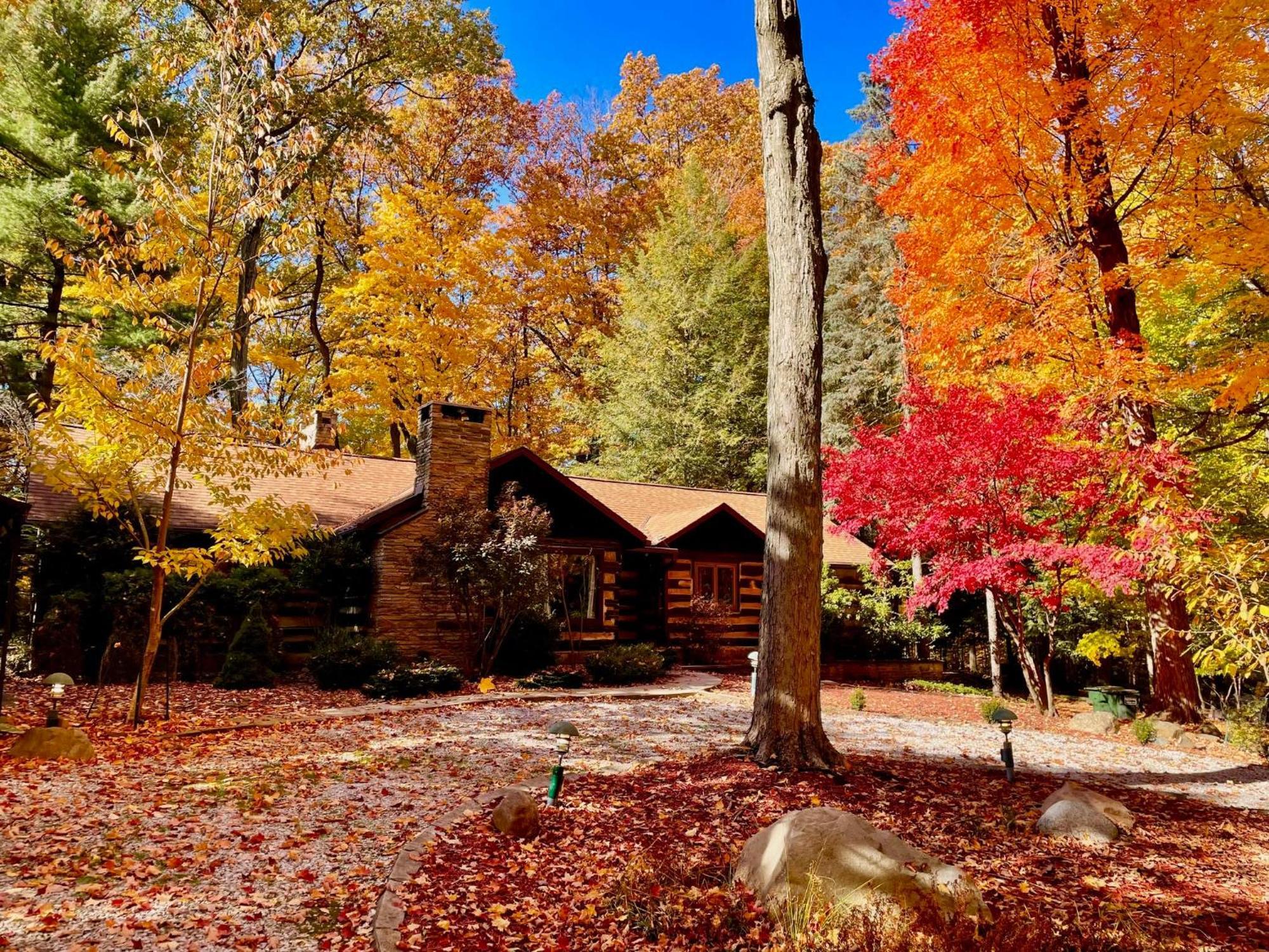 Log Cabin - Natures Oasis - Fire Pit & Gazebo Cleveland Esterno foto
